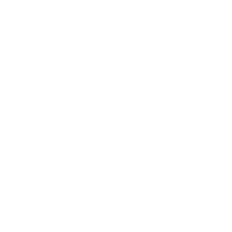 Professional Speaking icon
