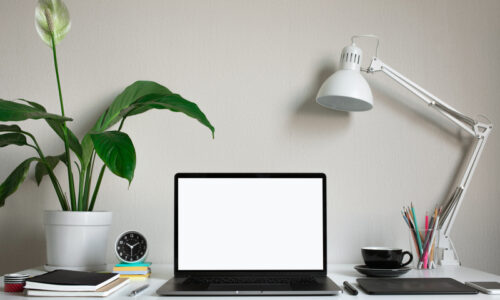 The Real Cost of Hiring a Freelancer vs an Employee: Why Expertise Comes at a Premium