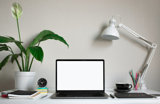 The Real Cost of Hiring a Freelancer vs an Employee: Why Expertise Comes at a Premium